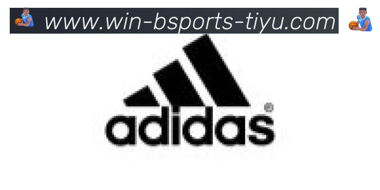 Bsports官网合作伙伴